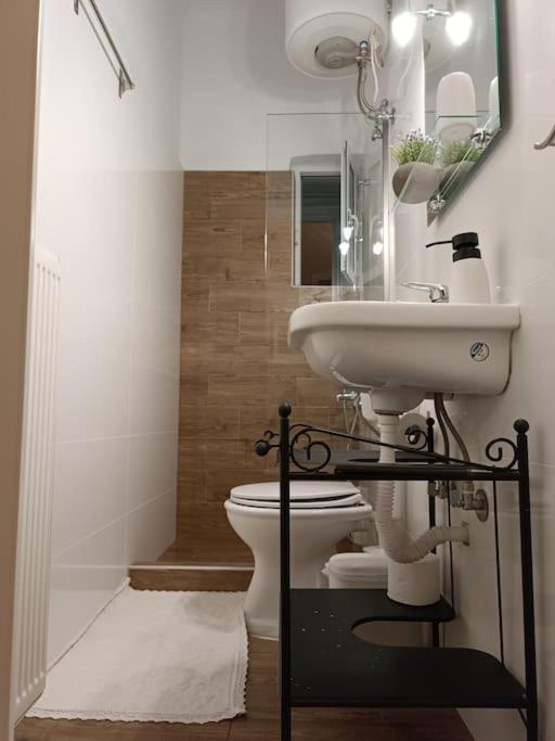 Apartament Κεντρικό Ευρύχωρο Στούντιο Με Parking Larissa Zewnętrze zdjęcie
